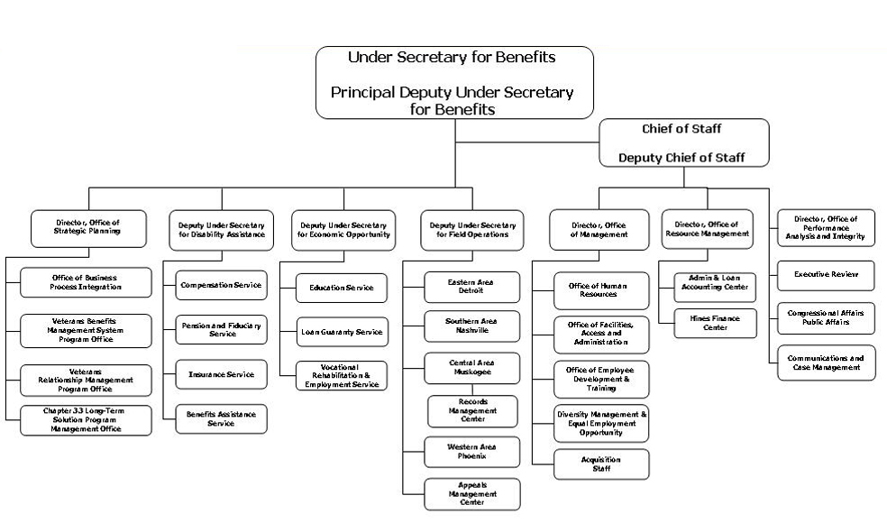 Graphic of VBA Organization Chart